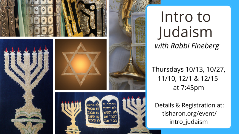 Banner Image for Introduction to Judaism